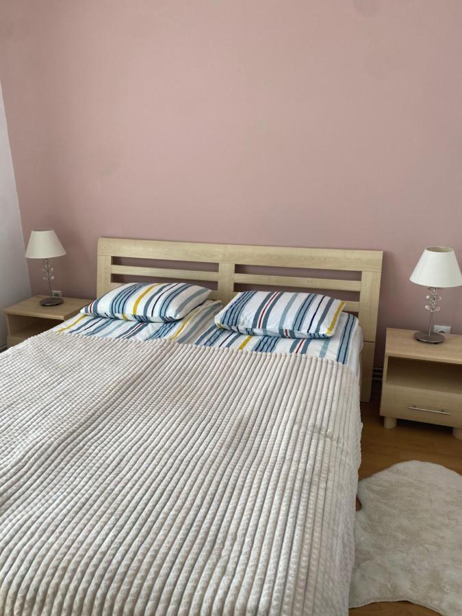 Sendy Apartman 2 Διαμέρισμα Sfântu-Gheorghe Εξωτερικό φωτογραφία
